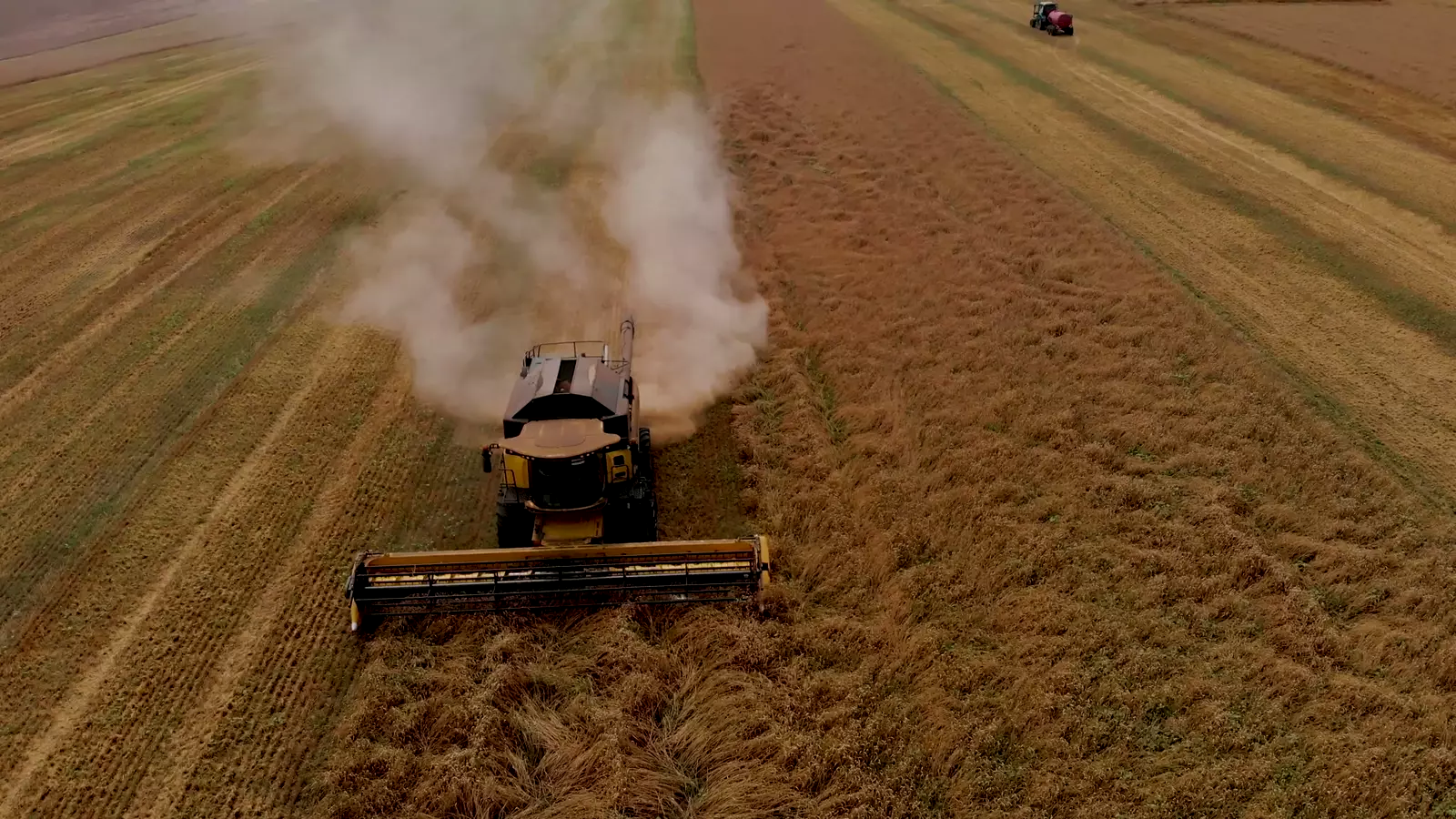 Una cosechadora trabajando un campo de cereal, vista desde arriba