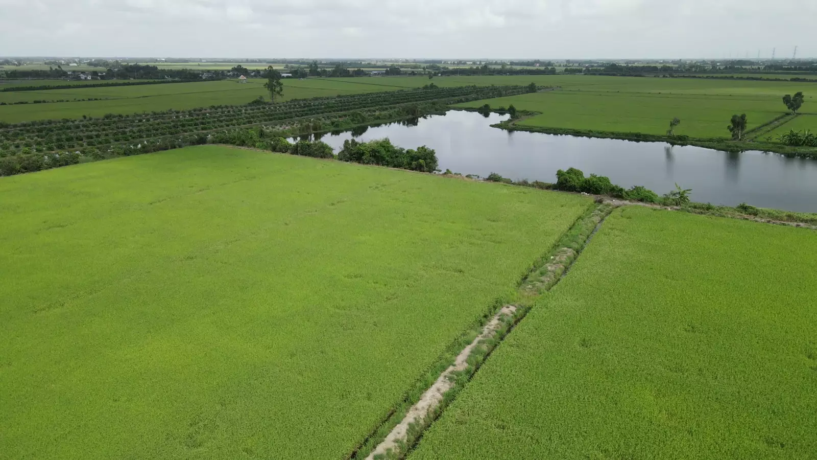 Campos verdes junto a un canal, vistos desde el aire