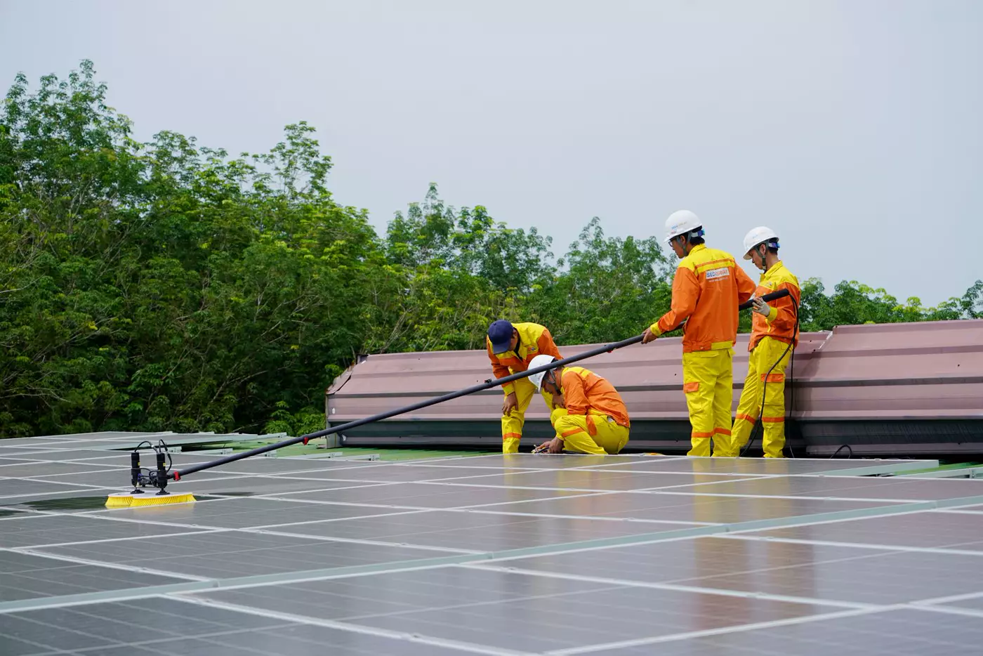 Cuatro operarios con casco limpian una cubierta de placas solares con un cepillo de pértiga.